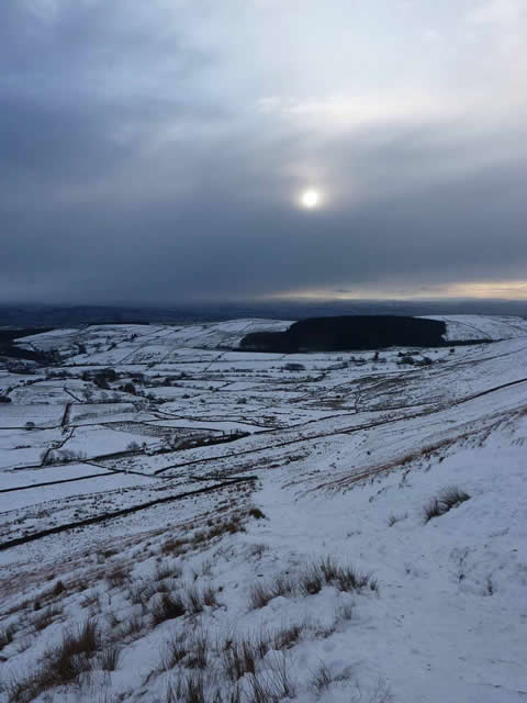 Fell Wood Pendle